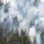 Secatogue Smoke Damage Experts