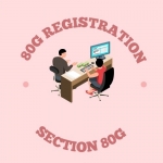 Ngo consultancy
