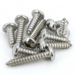 Self Tapping Screw