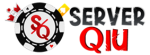Server QIU