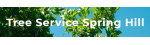 Spring Hill Tree Specialists