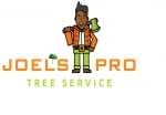 Joels Pro Tree Service of Bellbook