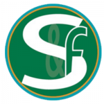 S&F Consulting Firm