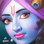 Shreekrishna's Link Centre