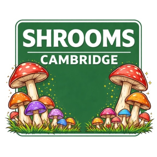 Shrooms Cambridge