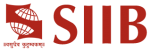 Symbiosis Institute of International Business