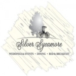 Silver Sycamore