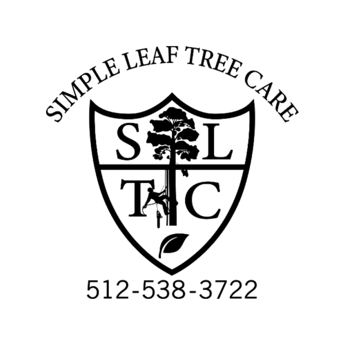 Simple Leaf Tree Care