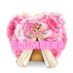 Slumberr Party The Sleepy Teepee Party Rentals