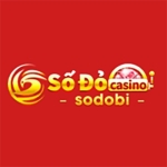 sodobicomvn@gmail.com
