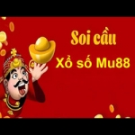 https://mu88hey.com/soi-cau-xo-so-mu88/
