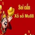 soicaumu88zx