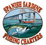 Spanish sardine fishing charter
