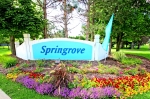 Springrove