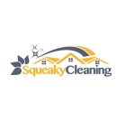 Squeaky Cleaning