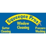 Squeegee Pros