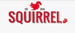 Squirrel A store of buried treasure