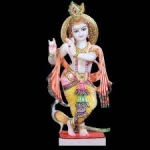 Sri Krishna Astrologer