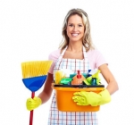 Six Star Cleanness