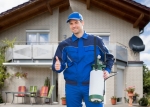 Summit City Wildlife Control Experts