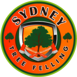 Sydney Tree Felling
