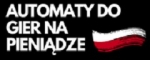 szybkiepisanieprac.pl