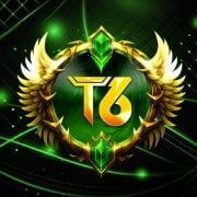 T6