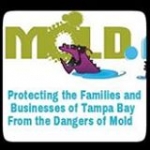 TampaBayMold.net