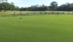 tarpon woods golf club