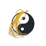 Traditional Chinese Medicine 