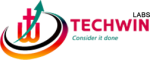 Techwin Labs