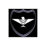 Eagle Security Services Corporation
