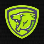 Invincible Lion Services LLP