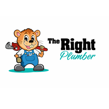 The Right Plumber