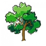 The Whistling Oak Travel