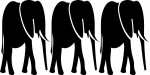 Three Elephants & Co.