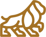 Tibetan Mastiff Info