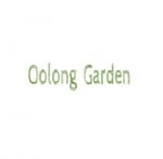 tie guan yin tea