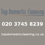 Top Domestic Cleaning London