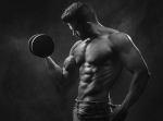 Modelo Fitness
