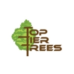 Top Tier Trees Inc