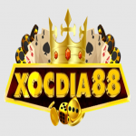 TOP 10+ Sân Chơi Xóc Đĩa Online Dẫn Đầu