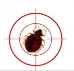 Bed Bug Treatment Pros