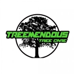 Treemendous Tree Care LLC