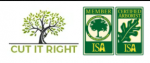 Tree Service Fresno
