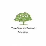 Tree Service Boss of Fairview