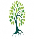 Tree Services Abbotsford