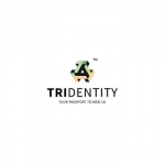 Trident Digital Tech Pte Ltd