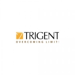 Trigent Software