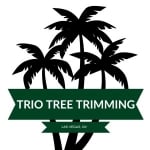 SW Tree Trimming